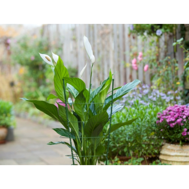 Nature fém virágtámasz műanyag bevonattal, 90cmx7mm+4db gyűrűátmérő: (6040341)