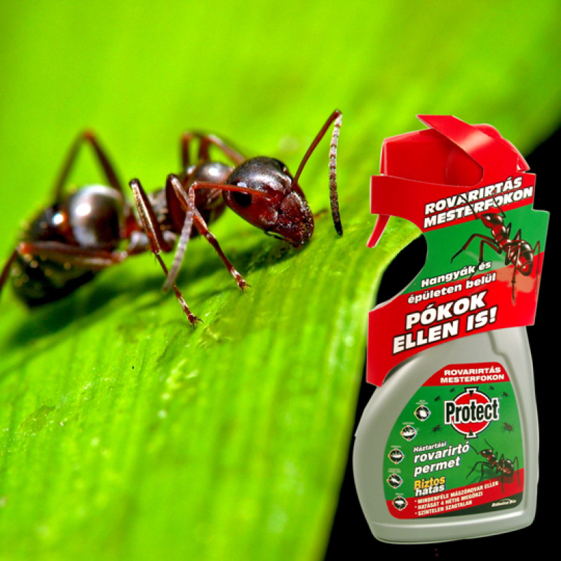 Protect rovarirtópermet 500 ml