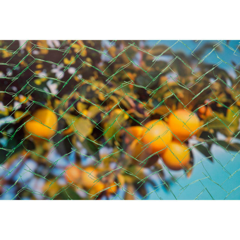 Nature madárháló 5x4m (6030422)