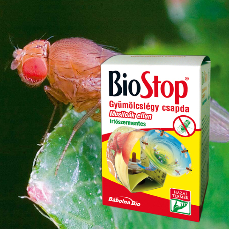 Biostop gyümölcslégy csapda