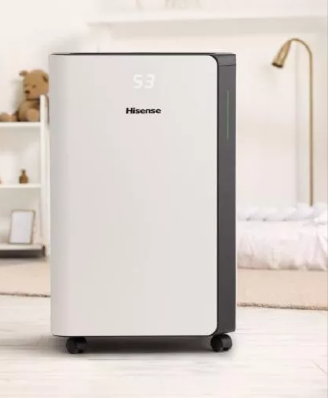 Hisense páramentesítő (D20CW)