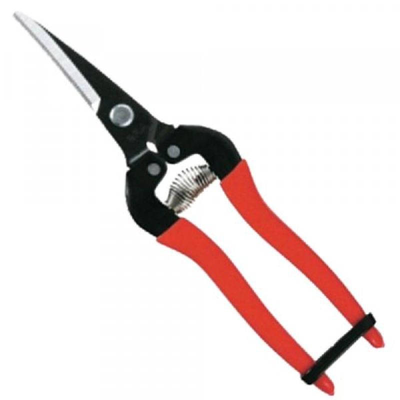 Muta szüretelő olló íves 19 cm (10319)
