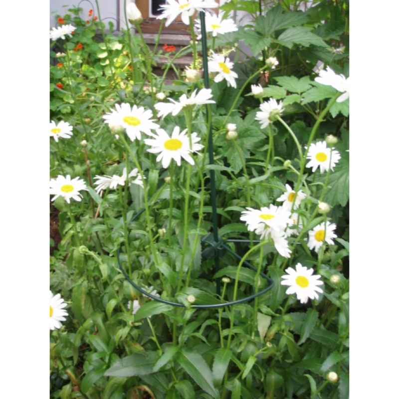 Nature műanyag növénytámasz, kerek, 15 cm (6040311)