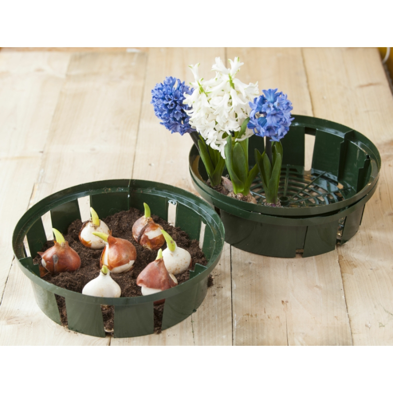 Nature kosár virághagymákhoz, 26 cm 3db/csomag (6020101)