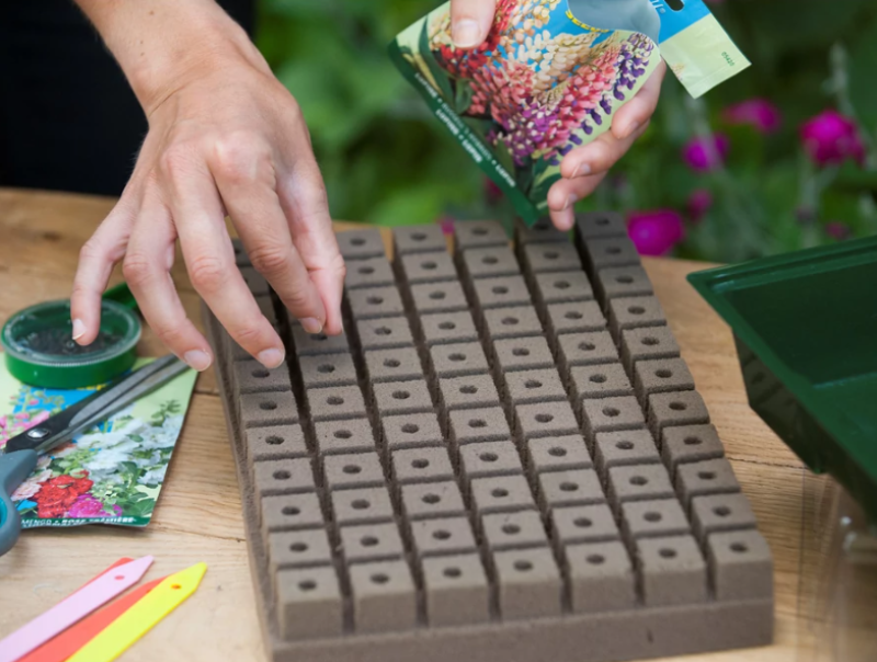 NATURE propagátor hydropóniás tálcával 11x35x23,5cm (6020216)