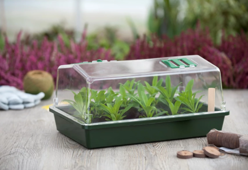 NATURE propagátor átlátszó tetővel, két szellőzővel 21x55x31cm (6020211)