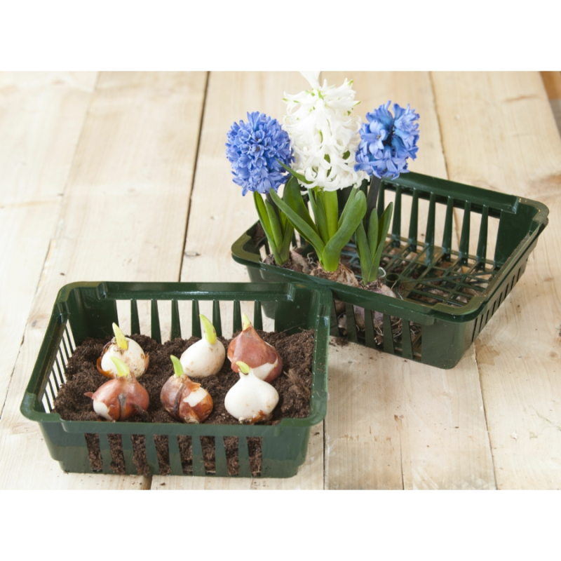 Nature kosár virághagymákhoz, 25x21x7,5cm 3db/csomag (6020103)