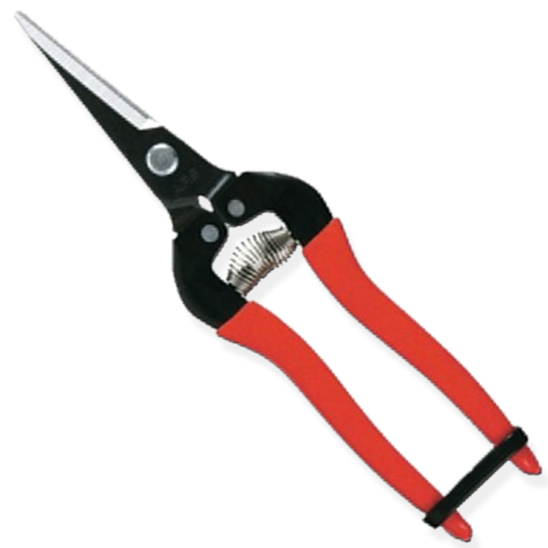 Muta Szüretelő olló , lemez 19 cm (10320)