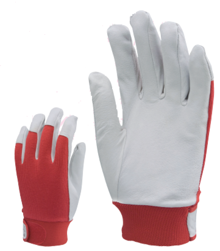 Bőr sofőrkesztyű 8-as (838)