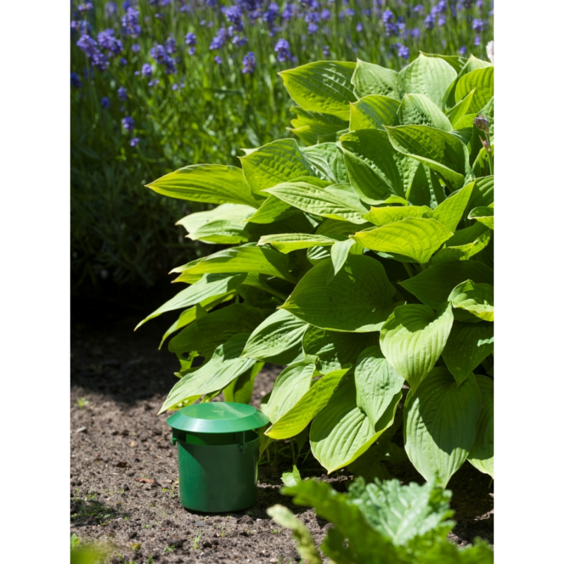 Nature csigacsapda 2db-os szett, 11x11,5cm (6060141)