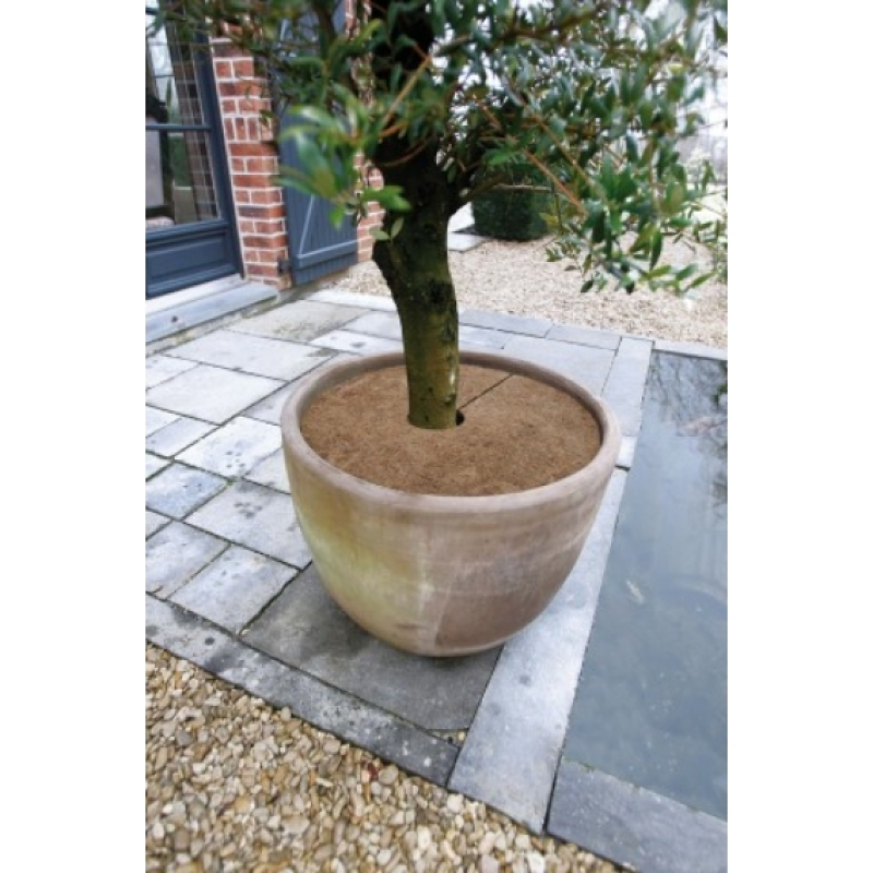 Nature kókuszlemez 60 cm,  3 db (6030143)