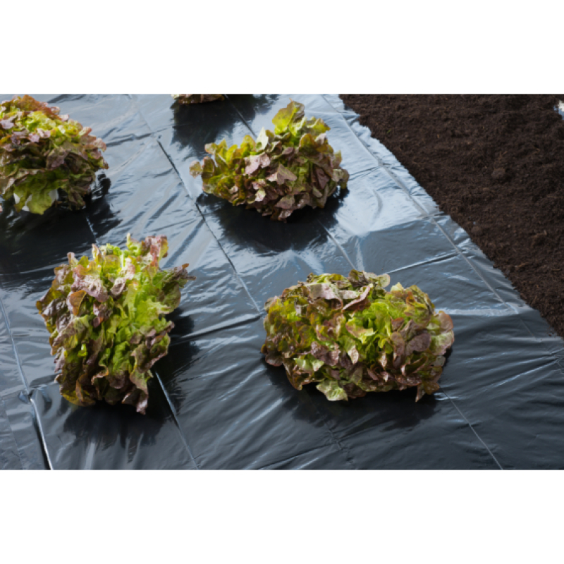 Nature takarófólia 1,40x5m, fekete, 30 mikron (6030230)